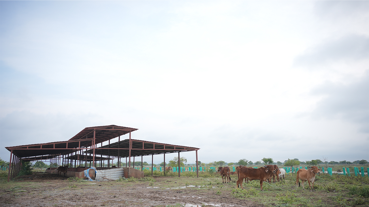 Village Development Projects